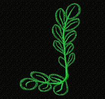 Flower Machine Embroidey Design