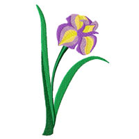 Iris Machine Embroidery Design