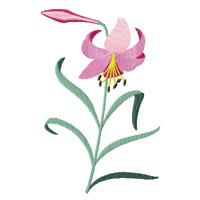 Lilly Machine Embroidery Design