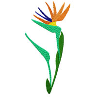 Strelitzia Machine Embroidery Design