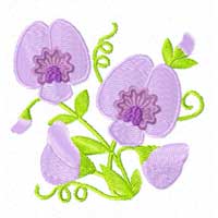 Free Sweet Pea Flowers  Machine Embroidery Design