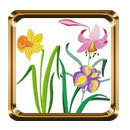 Garden #1: Lilly, Cala, Orchid, Daffodil, Iris, Tulip, Gerber, Strelitzia Flowers Machine Embroidery Designs
