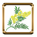 Mimosa Machine Embroidery Designs set