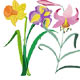Garden #1: Lilly, Cala, Orchid, Daffodil, Iris, Tulip, Gerber, Strelitzia Flowers Machine Embroidery Designs