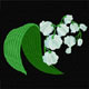 Snowdrops Machine Embroidery Designs set