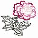 Chinese Peony Flowers Machine Embroidery Designs Set